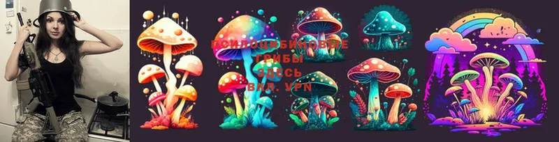 ссылка на мегу ссылки  Трубчевск  Галлюциногенные грибы Psilocybine cubensis  купить  цена 